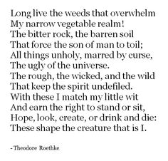 Theodore Roethke