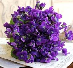 Violette