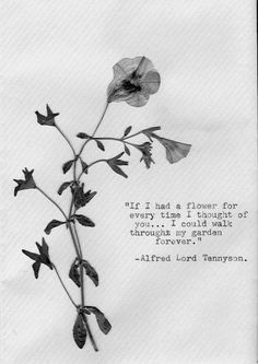 Alfred Lord Tennyson