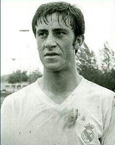 Vincente del Bosque