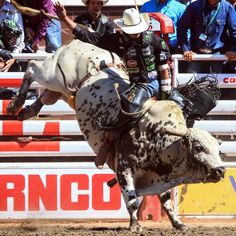 JB Mauney