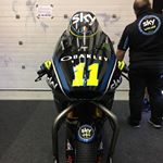 Nicolo Bulega