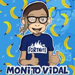 Monito Vidal