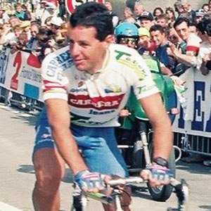 Stephen Roche