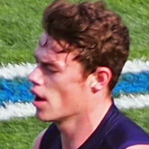 Lachie Neale