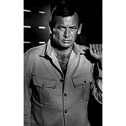 David Janssen