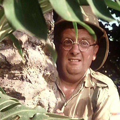 Don Estelle