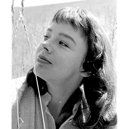 Janet Munro