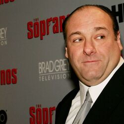 Michael Gandolfini